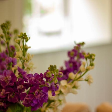 The Potting Shed, 5* Luxury Escape Cirencester Exterior foto